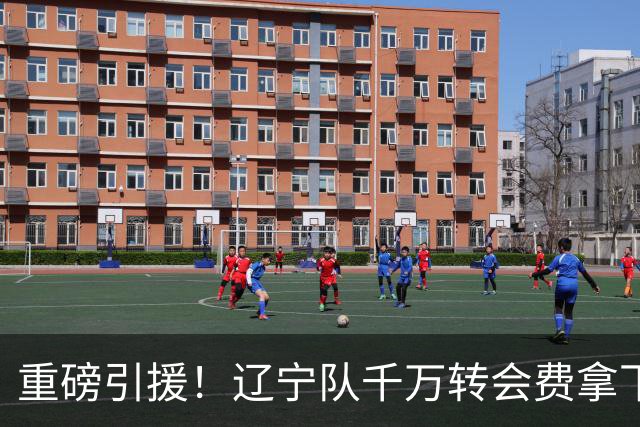 重磅引援！辽宁队千万转会费拿下前国青队长，4年合同接班赵继伟